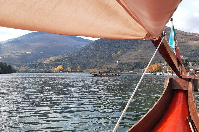 douro-valley-3-wine-experiences-with-lunch-optional-boat-cruise