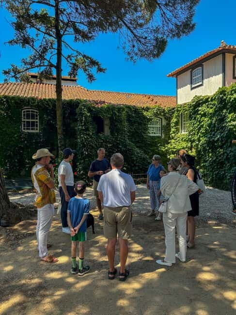 Douro Valley: 4x4 Safari and Vineyard Visit - Pricing and Value