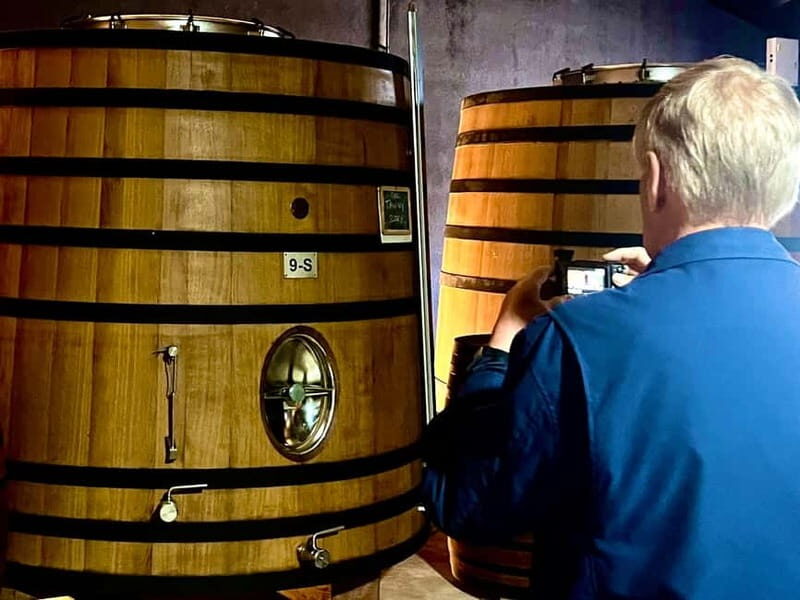 Douro Valley: A Day in Douro Valley Tasting The Best Wines - A Luxurious Introduction to Douro’s Charm