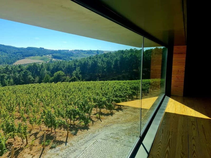 Douro Valley: A Day in Douro Valley Tasting The Best Wines - Frequently Asked Questions