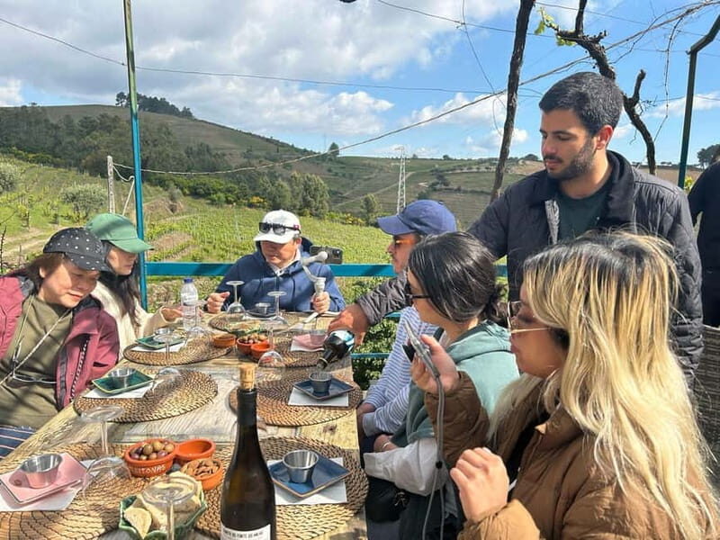 Douro Valley: A Half-Day Escape into Wine and Traditions - Transportation, Group Size, and Price