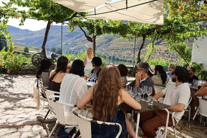 Douro Valley: A Half-Day Escape into Wine and Traditions - The Sum Up