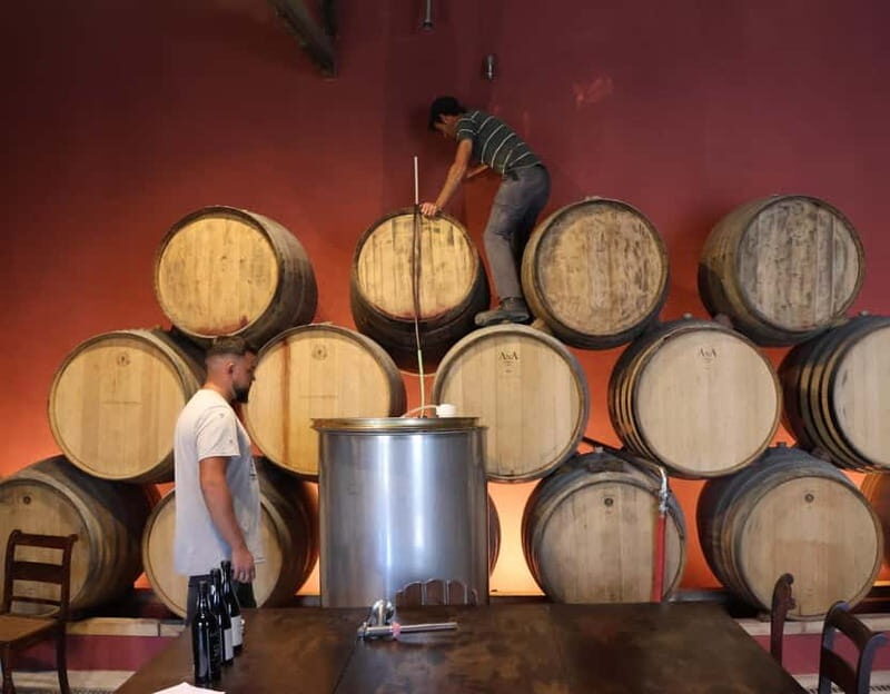Douro Valley: A Half-Day Escape into Wine and Traditions - FAQs
