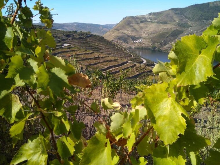 douro-valley-amarante-from-porto-braga-or-guimaraes