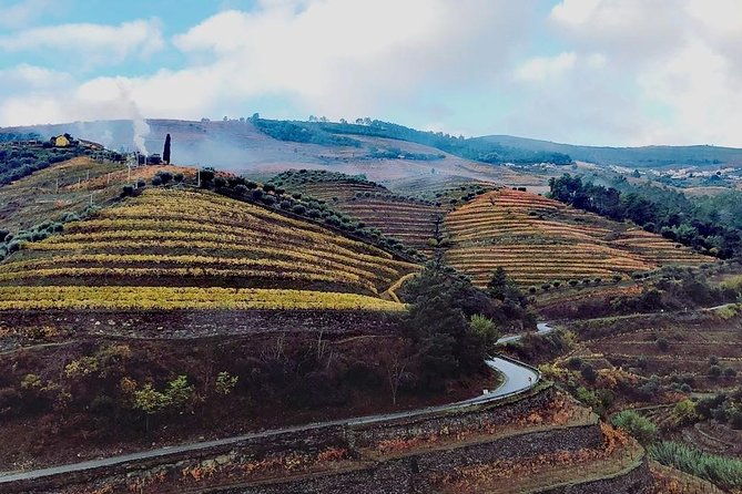 douro-valley-and-amarante-small-group-wine-tour-from-porto
