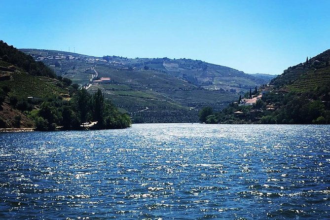 douro-valley-and-amarante-small-group-wine-tour-from-porto
