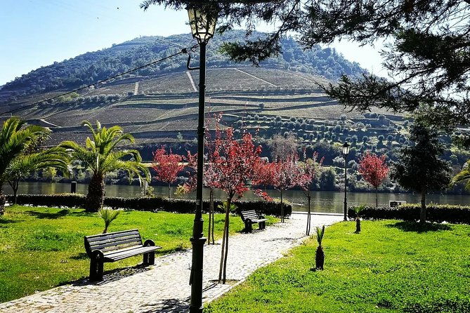 douro-valley-and-amarante-small-group-wine-tour-from-porto
