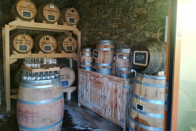 douro-valley-and-amarante-small-group-wine-tour-from-porto