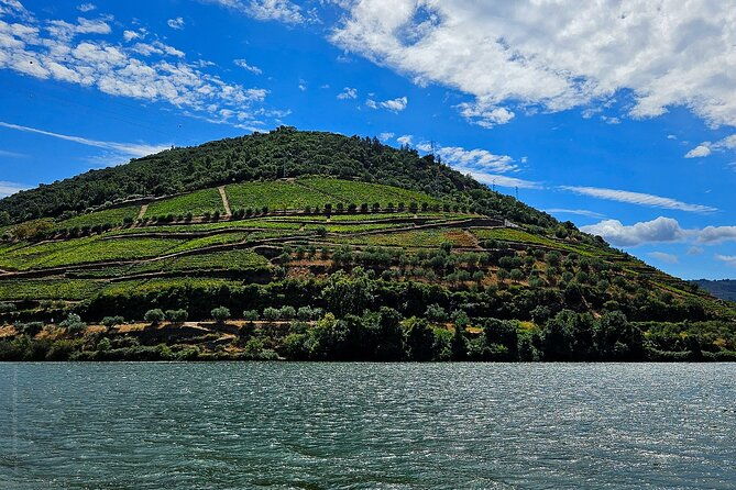 douro-valley-and-green-wine-with-chef-and-boat-lunch-tasting-2