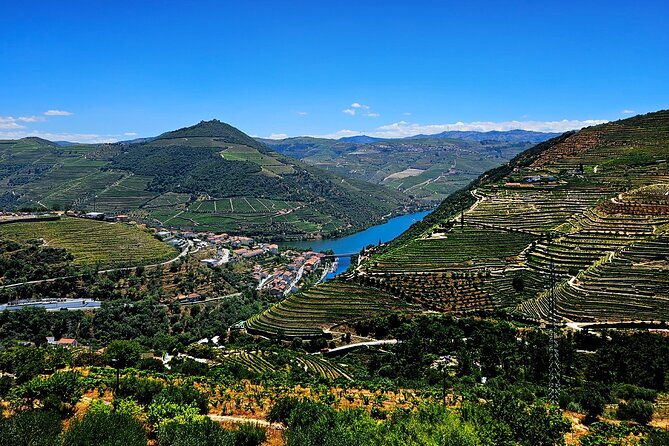 douro-valley-and-green-wine-with-chef-and-boat-lunch-tasting-3