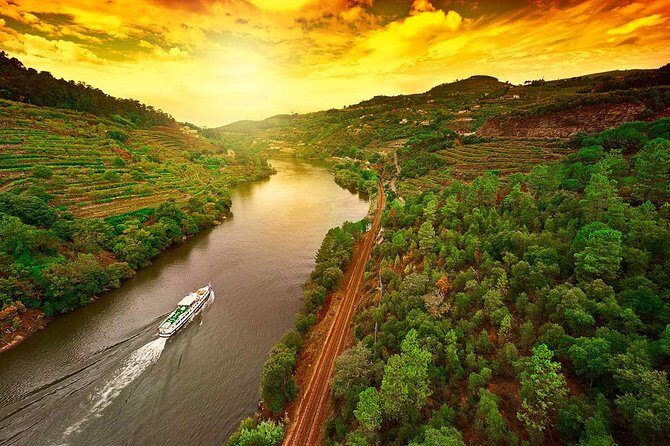 Douro Valley and Régua Panoramic Cruise with Lunch from Porto - An In-Depth Look at the Douro Valley Tour