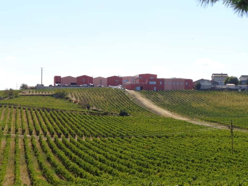 Douro Valley: Bottled VS Barrel Aged Port Wine - Practical Details and Tips