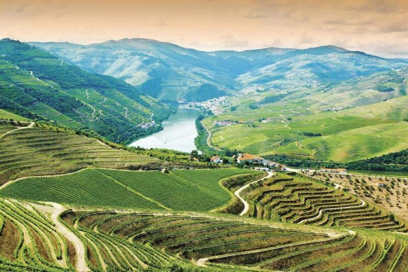 Douro Valley: Cruise & vineyard discovery from Porto or Aveiro - An In-Depth Look at the Douro Valley Tour  