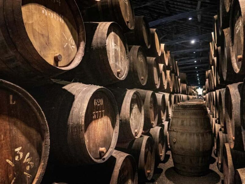 Douro Valley: Cruise & vineyard discovery from Porto or Aveiro - Who Is This Tour Best Suited For?  