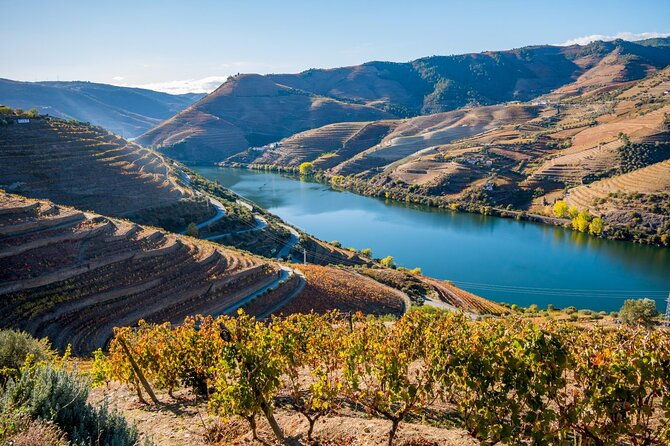 douro-valley-delights-wine-tasting-and-scenic-vistas