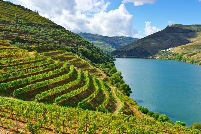 douro-valley-delights-wine-tasting-and-scenic-vistas