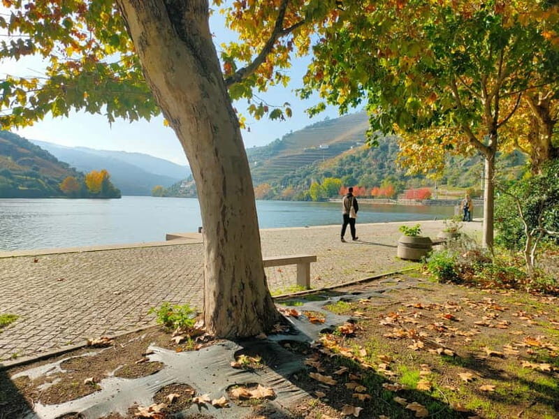 Douro Valley: Discover the Wine Region with Tastings. - An In-Depth Look at the Douro Valley Private Tour
