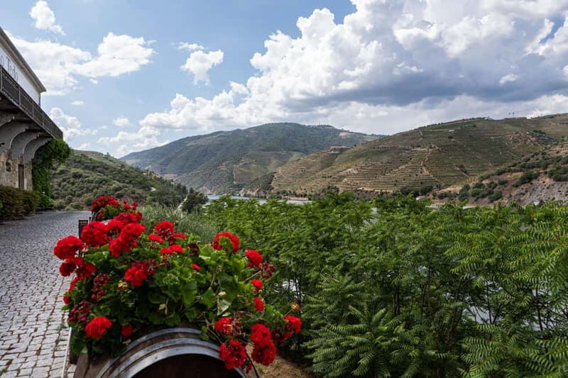 Douro Valley: Discover the Wine Region with Tastings. - FAQs