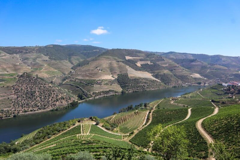 douro-valley-douro-valley-tour-including-3-wineries