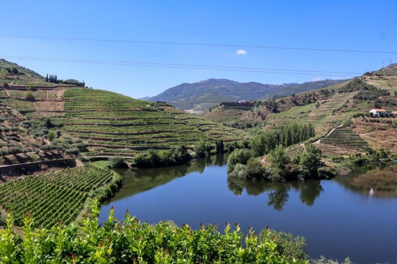 douro-valley-douro-valley-tour-including-3-wineries