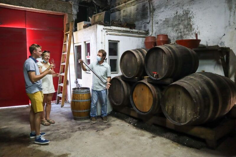 douro-valley-douro-valley-tour-including-3-wineries