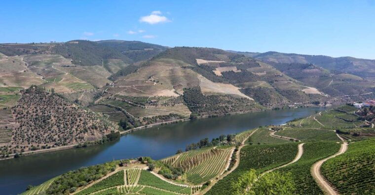 douro-valley-douro-valley-tour-including-3-wineries