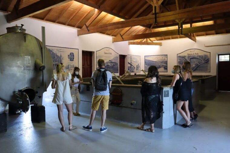 douro-valley-douro-valley-tour-including-3-wineries