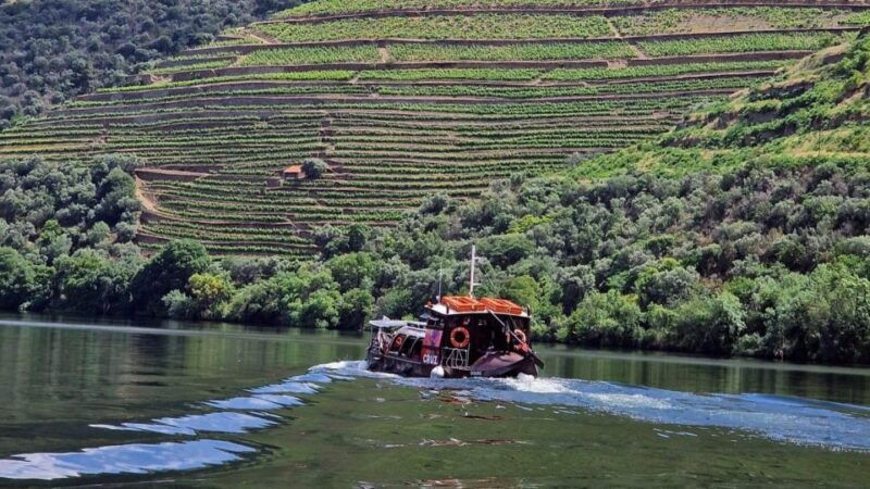 douro-valley-expert-guide-boat-lunch-tastings-premiumservice