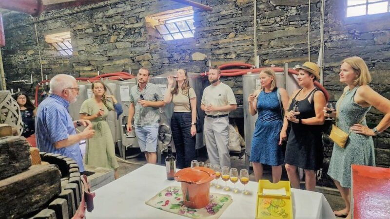 douro-valley-expert-guide-boat-lunch-tastings-premiumservice