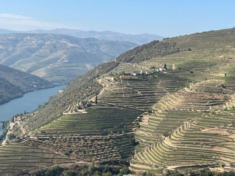 douro-valley-expert-guide-boat-lunch-tastings-premiumservice