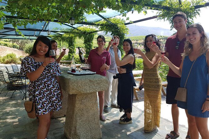 Douro Valley for Wine Lovers with Visit to 3 Vineyards and Lunch at a Winery - Key Points