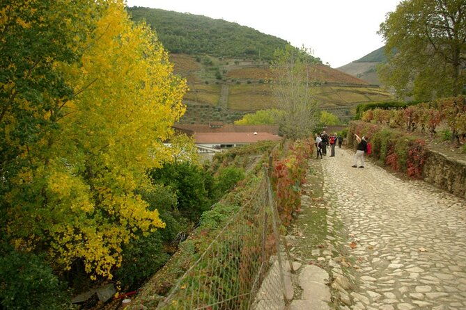 douro-valley-from-casal-de-loivos-to-pinhao-walk-and-wine-tour