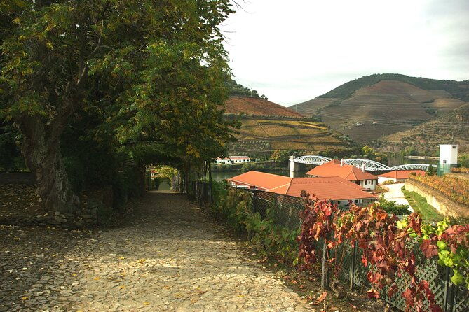 douro-valley-from-casal-de-loivos-to-pinhao-walk-and-wine-tour