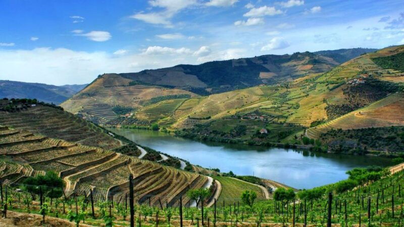douro-valley-full-day-private-tour-from-porto