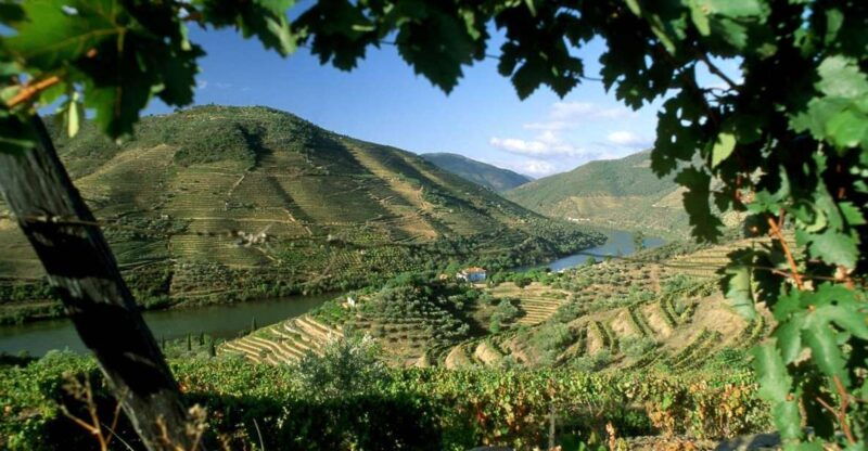 douro-valley-full-day-private-tour-from-porto