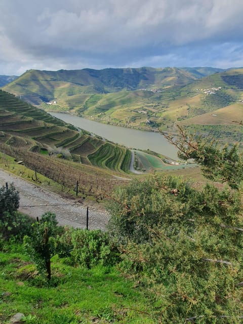 douro-valley-full-day-tour-from-lisbon