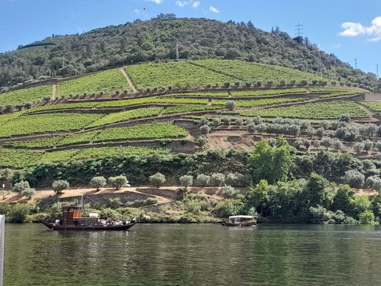 douro-valley-full-day-tour-from-lisbon