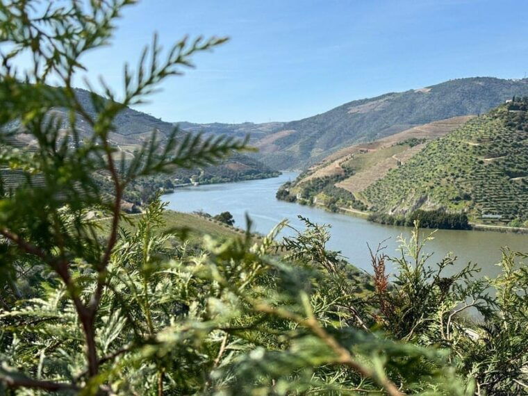 douro-valley-full-day-tour-from-lisbon