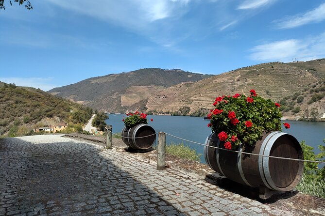 douro-valley-full-experience-with-limited-small-group-2
