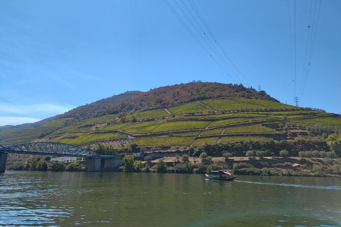 douro-valley-full-experience-with-limited-small-group