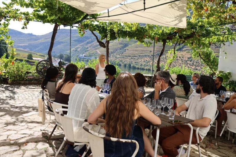 Douro Valley: Half-Day, 1 winery & 1-h cruise with cocktail - Final Thoughts 