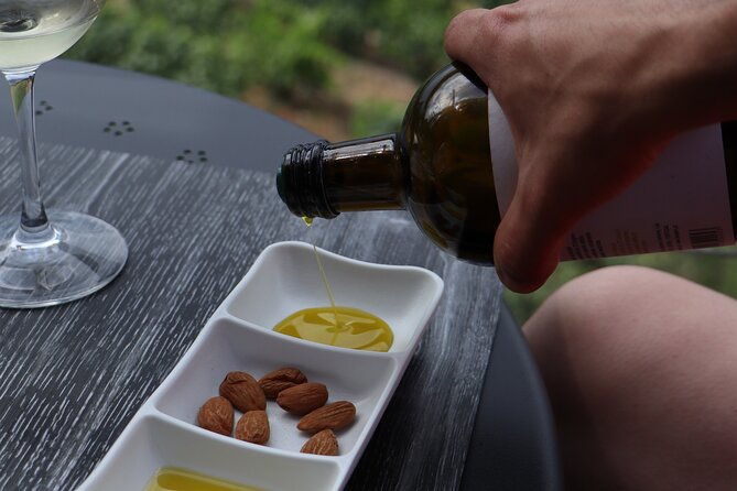 douro-valley-in-a-tesla