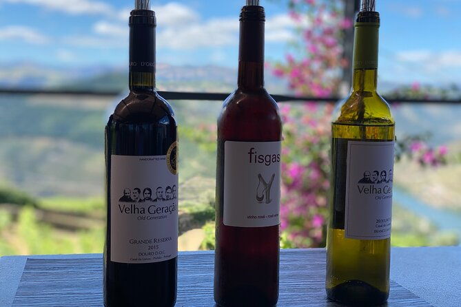 douro-valley-in-a-tesla