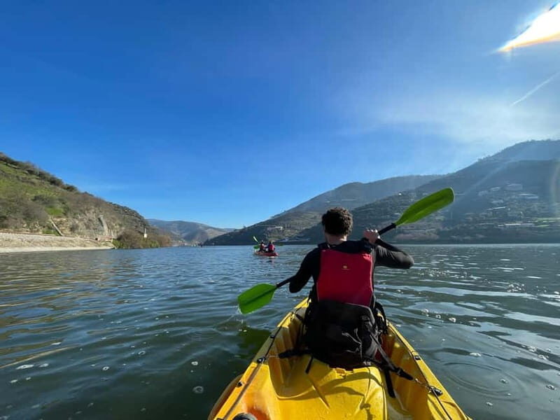 Douro Valley: Kayak and Vineyard Tour with Lunch and Wine - Key Points