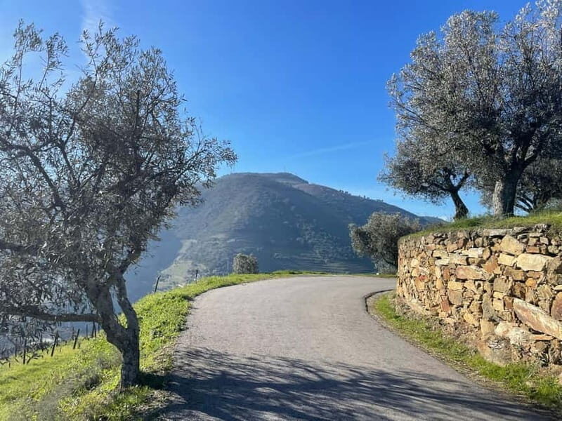 Douro Valley: Kayak and Vineyard Tour with Lunch and Wine - A Detailed Look at This Douro Experience