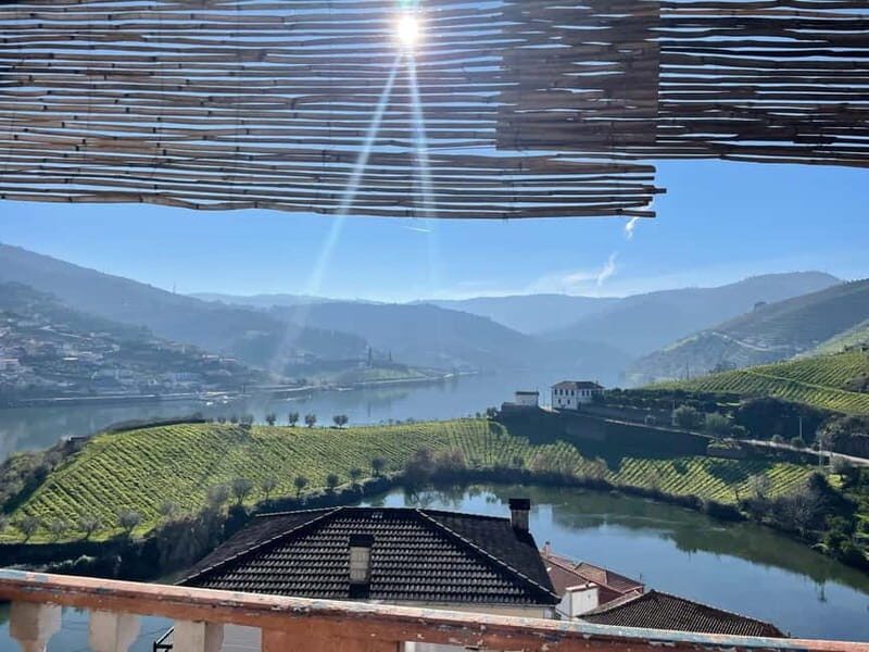 Douro Valley: Kayak and Vineyard Tour with Lunch and Wine - FAQ