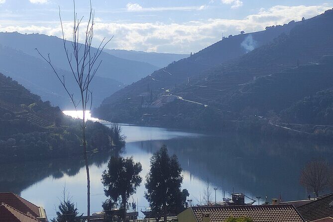 Douro valley Majestic - The Sum Up  