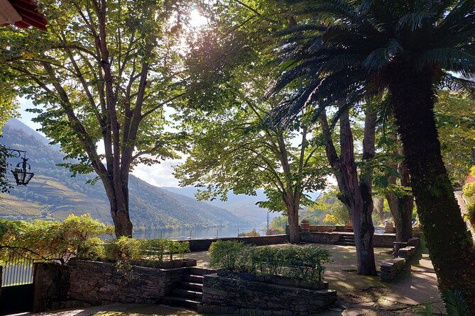 douro-valley-pinhao-quinta-da-foz-tour-and-tasting-5-wines