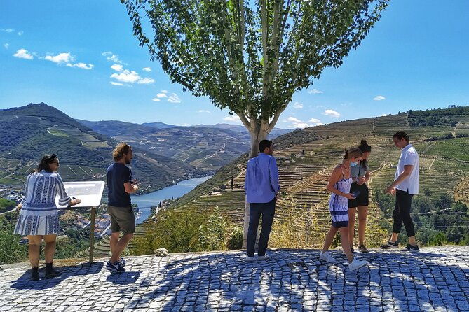 douro-valley-prime-tour-wine-tastings-boat-and-lunch-from-porto