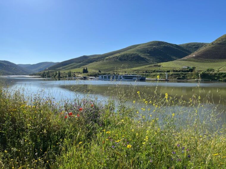 douro-valley-private-airplane-tour-around-the-river-douro